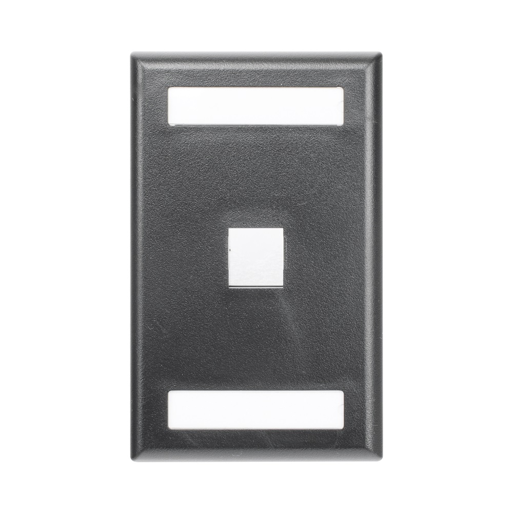 Placa De Pared Vertical Panduit Salida Para 1 Puerto Keystone Con Espacios Para Etiquetas