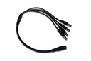 Divisor de Energía Tipo Pulpo SAXXON Con 4 Conectores Macho - 1 Conector Hembra