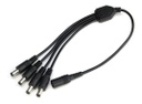 Divisor de Energía Tipo Pulpo SAXXON Con 4 Conectores Macho - 1 Conector Hembra