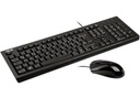 Kit De Teclado Y Mouse ASUS U2000 Alámbrico USB Español