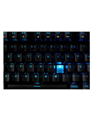 ACC698548_3