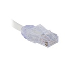 NET4813_0