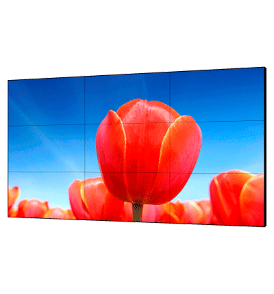 MNS36630_0
