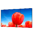 MNS36630_0