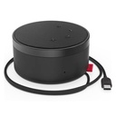 Altavoz Portátil Lenovo Go 4XD1C82055 Alámbrico USB C