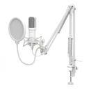 Kit De Microfono Xzeal Xz-260 Omnidireccional Usb Filtro Antipop