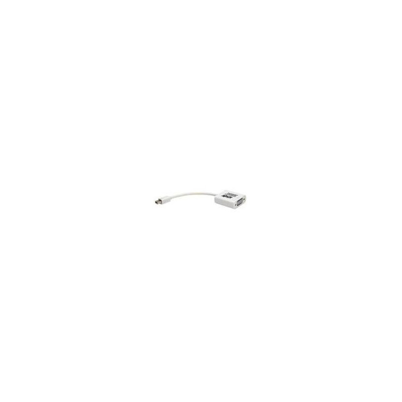 ACC1655_920254-MLM41619206911_052020