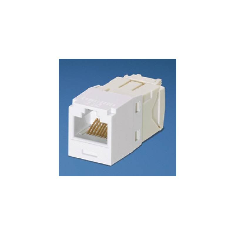 ACC1234_961695-MLM41617813453_052020