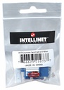 ACC119_1