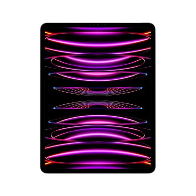 Ipad pro 12.9 wifi + cell 128gb space gray mp1x3lz/a -
