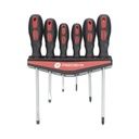 Juego de 6 Desarmadores Precision PST-H020-07 Con Organizador