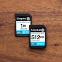 Memoria sdxc kingston 1tb canvas go plus g4 c10 uhs-i v30 (sdg4/1tb)