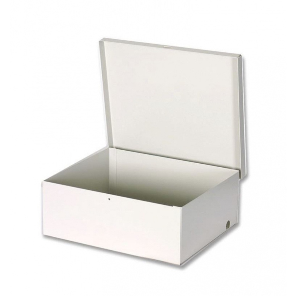 Gabinete Metálico DSC GS-004 24.6 x 24.1cm Para SECO LARM