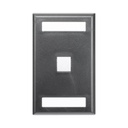 Placa De Pared Vertical Panduit Salida Para 1 Puerto Keystone Con Espacios Para Etiquetas