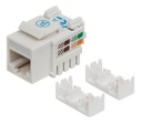 Jack de impacto utp cat6 calibe 22 al 26 awg intellinet blanco 210591