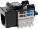 Jack Intellinet Categoría 6 de Impacto RJ-45