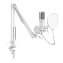 Kit De Microfono Xzeal Xz-260 Omnidireccional Usb Filtro Antipop